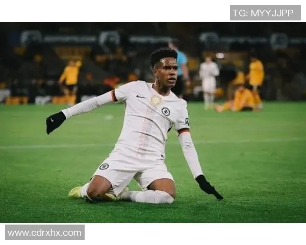 切尔西签下英超热门射手，引发球迷热议