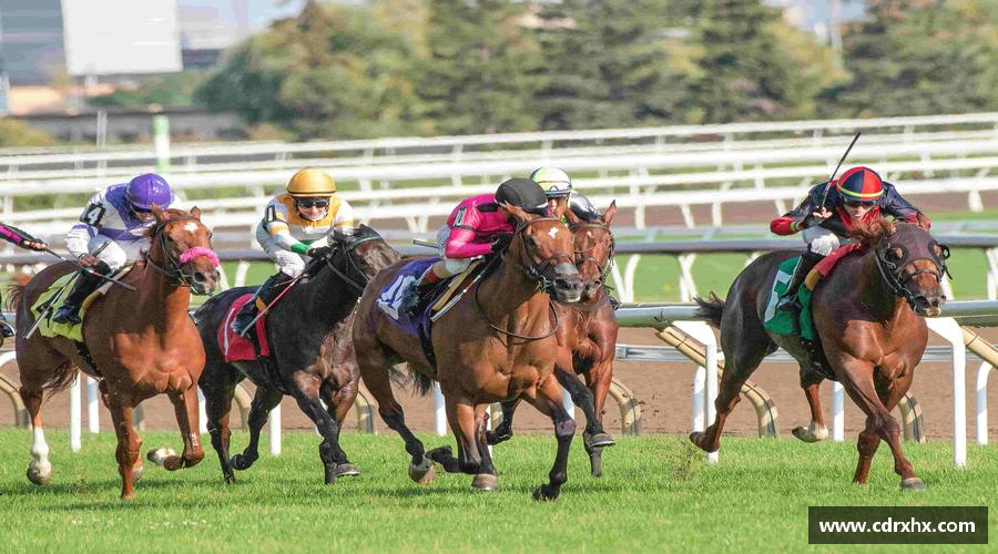 泛亚电竞平台拼尽全力，超越自我！